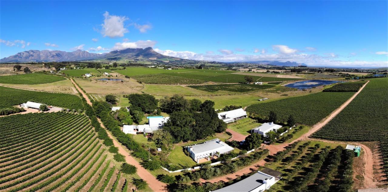 Klein Welmoed Luxury Guest House Stellenbosch Exterior photo