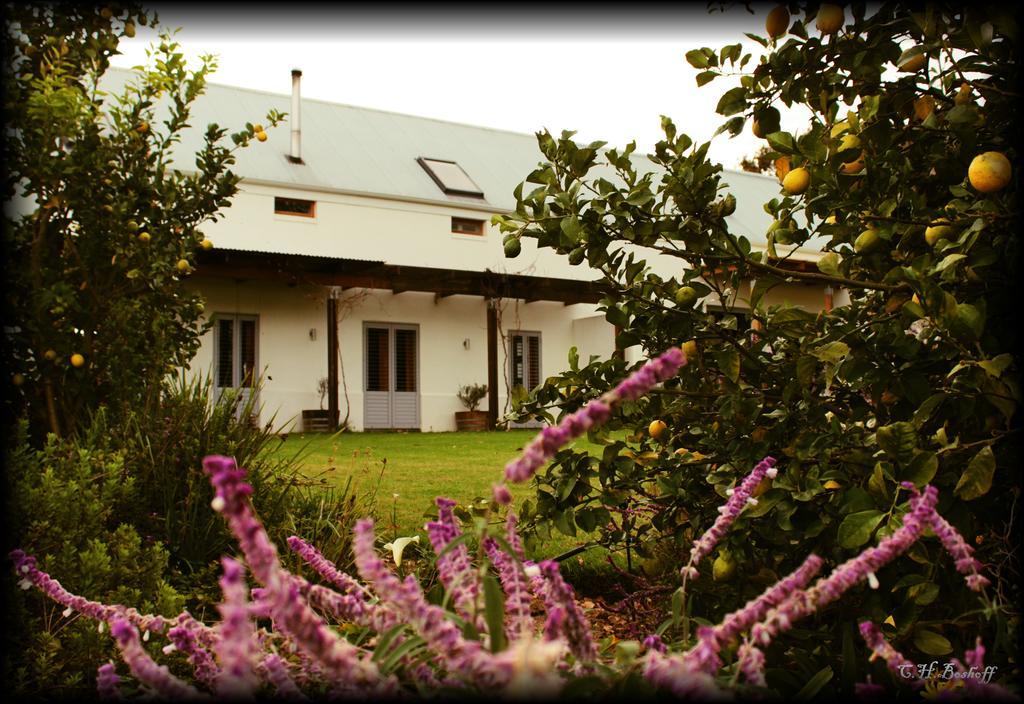 Klein Welmoed Luxury Guest House Stellenbosch Exterior photo
