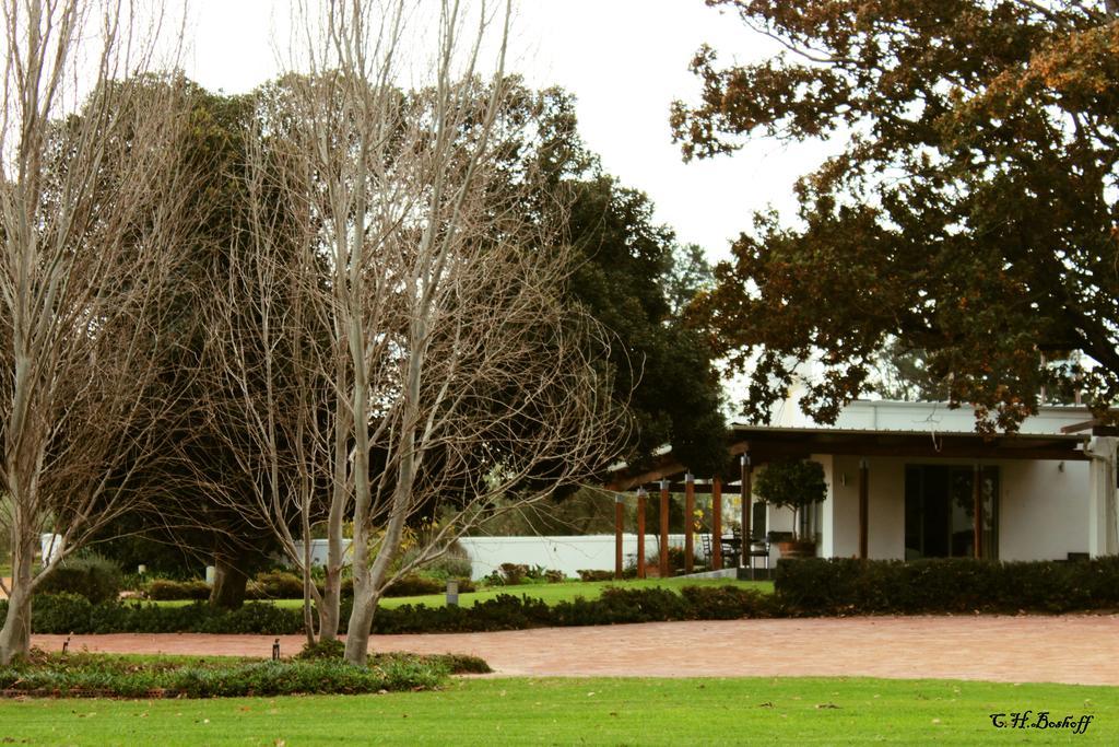 Klein Welmoed Luxury Guest House Stellenbosch Exterior photo