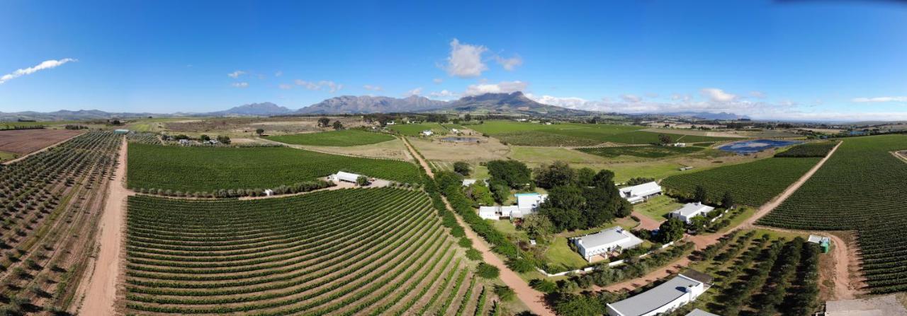 Klein Welmoed Luxury Guest House Stellenbosch Exterior photo